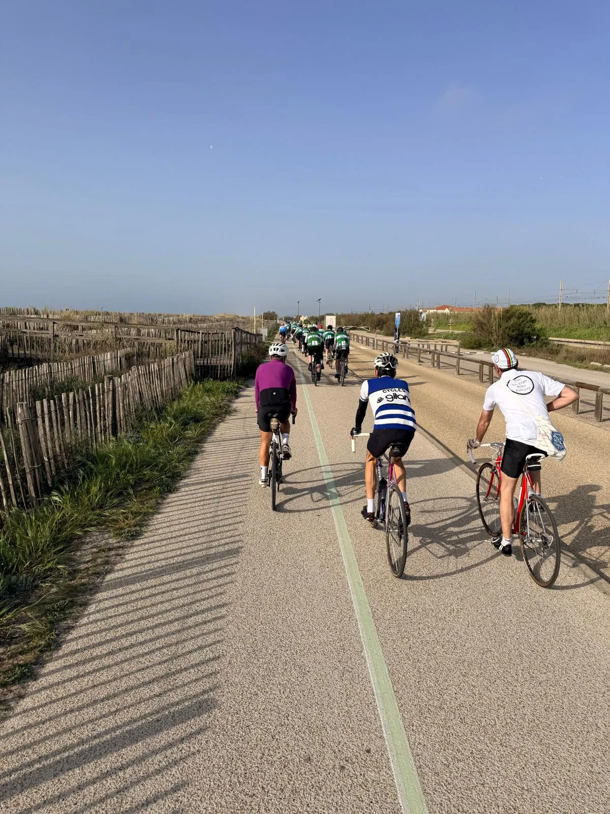 WhatsApp Image 2026-04-11 at 10.56.2745786_13_11zon.webp